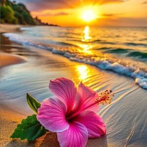 Meet your Posher, Janell